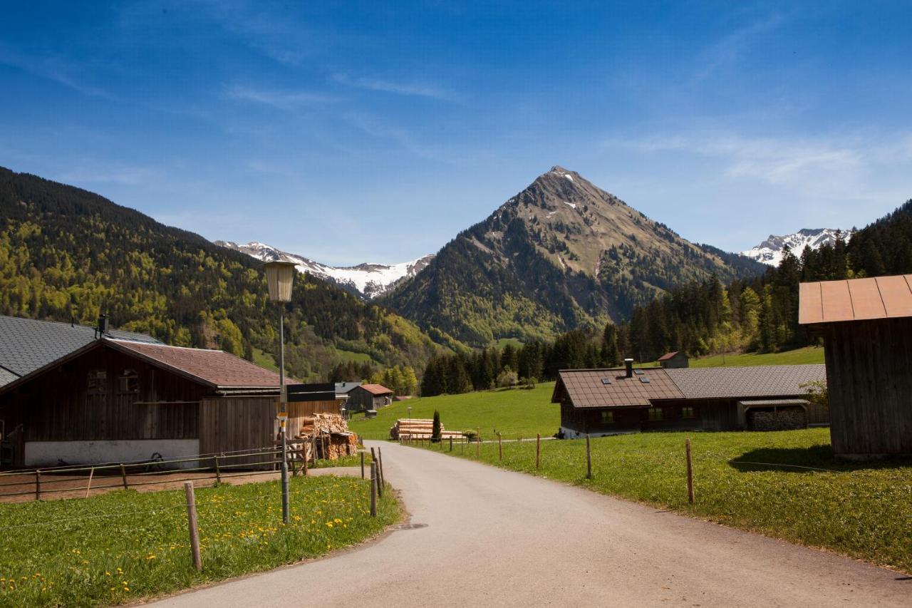 Apartament Ferienbauernhof Kohler Schoppernau Zewnętrze zdjęcie