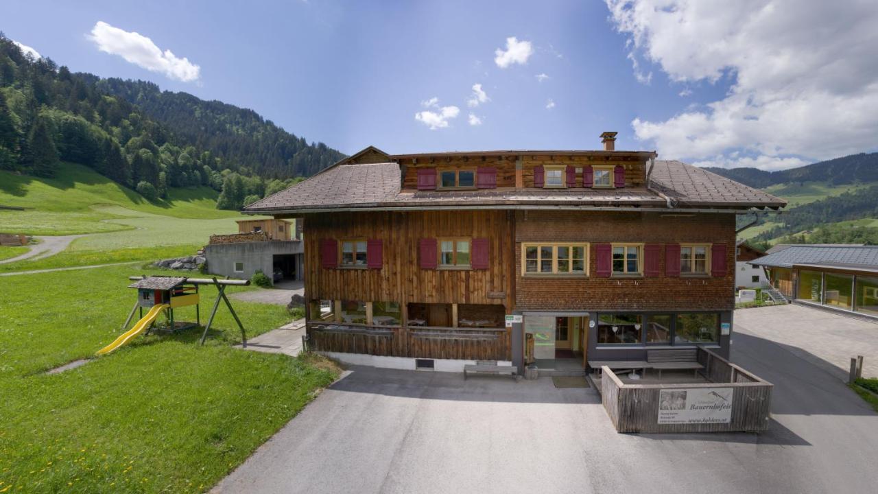 Apartament Ferienbauernhof Kohler Schoppernau Zewnętrze zdjęcie
